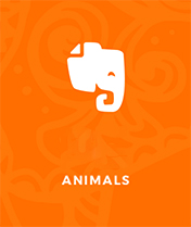 animals2
